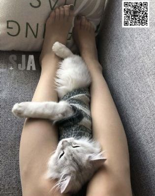 加勒比官网加勒比一二三区_国产剧神马影院手机在线